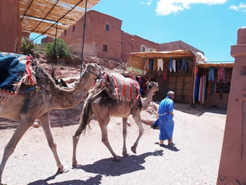 Morocco gay trip