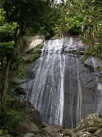 Zoom Vacations Gay Puerto Rico tour