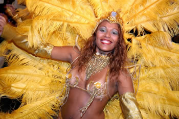 Rio de Janeiro carnival exclusively gay tour