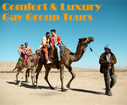 Comfort & Luxury Gay group tours