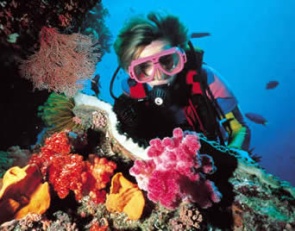 Great Barrier Reef Gay Tour