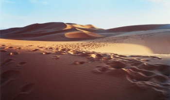 Gay Morocco tour